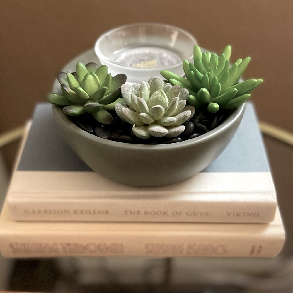 *Gently Used* Scentsy Little Garden Warmer